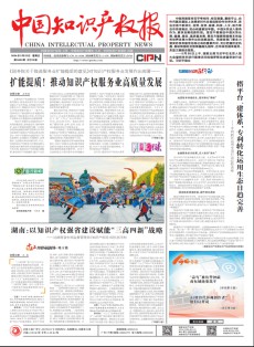 中国知识产权报